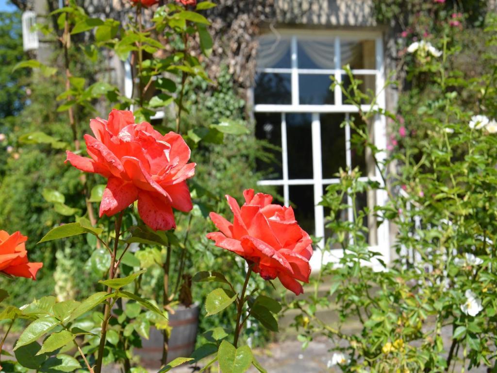 Powis House B&B 斯特灵 外观 照片